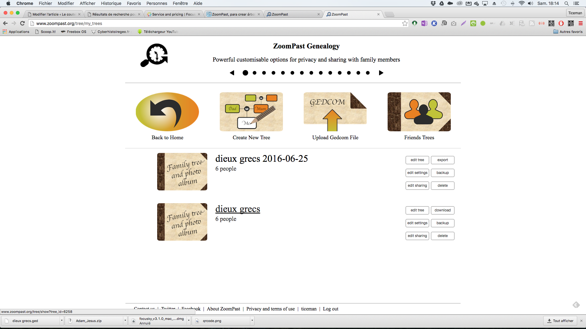 zoompast: des arbres généalogiques dynamiques simplement