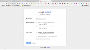 google-dico-options