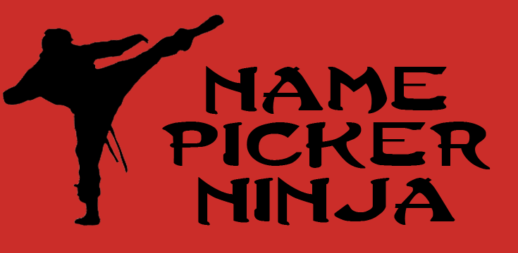 Name picker ninja: un système de tirage au sort de nom